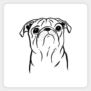 Pug (Black and White) Sticker